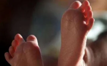 877 newborns,61 pregnant women die in Meghalaya in last four months: Official- India TV Hindi