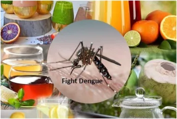 Dengue - India TV Hindi