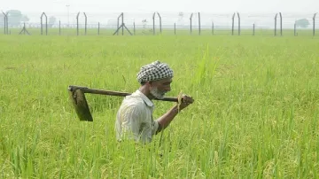 Interest subvention on crop loans extended till August 31- India TV Paisa