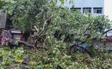 महाराष्ट्र: निसर्ग तूफान की रफ्तार कम हुई, सीएम उद्धव ठाकरे ने प्रशासन से तत्काल राहत सुनिश्चित करने- India TV Hindi