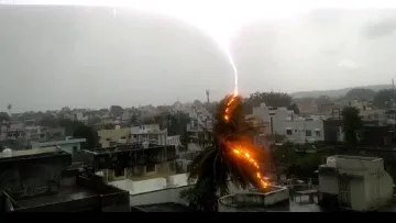27 people died due to lightning in Bihar today- India TV Hindi