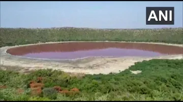 <p>Lonar Lake</p>- India TV Hindi