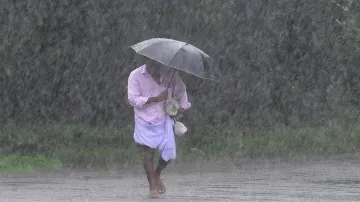 SW Monsoon in progress, 31 per cent more rainfall than normal in 14 days- India TV Paisa