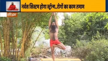 <p>Swami Ramdev</p>- India TV Hindi