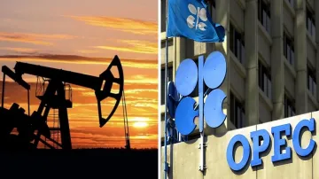 OPEC, oil output cut - India TV Paisa