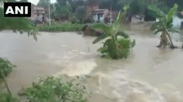 flood in dharbhagna bihar security dam washed away watch video । दरभंगा: गोपालपुर में नदी पर बना सुर- India TV Hindi
