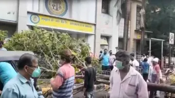 <p>Navi Mumbai One person died after falling tree</p>- India TV Hindi