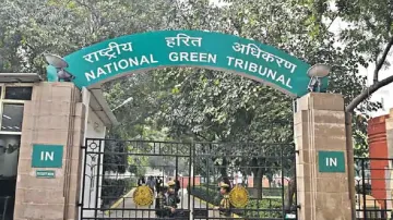 NGT directs UP chief secy to ensure prompt disposal of chromium dumps in Kanpur- India TV Hindi