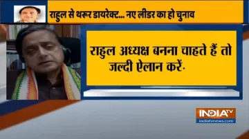 shashi tharoor on congress president election । शशि थरूर बोले- राहुल अध्यक्ष बनना चाहते हैं तो जल्द- India TV Hindi