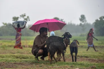 heavy rainfall predicted in balaghat tikamgarh damoh sagar madhya pradesh । इन चार जिलों में अत्यधिक- India TV Hindi
