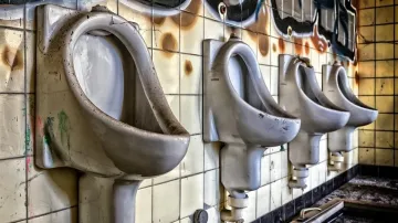 Flushing Public Toilet, Public Toilet, Flushing Public Toilet Coronavirus- India TV Hindi