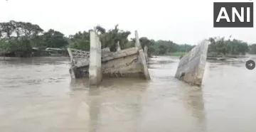 bridge, bridge washed away- India TV Hindi