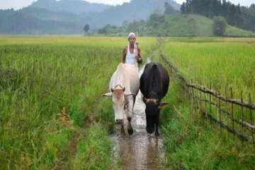<p>बजट में कृषि पर खास...- India TV Paisa