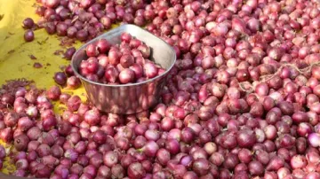 India allows export of 25,000 tonnes of onions to Bangladesh - India TV Paisa