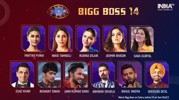 Bigg Boss 14 LIVE- India TV Hindi