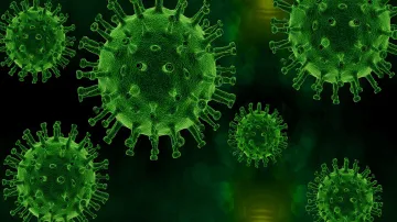 Delhi Coronavirus cases till 22 October - India TV Hindi