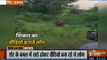 <p>Gir Forest</p>- India TV Hindi