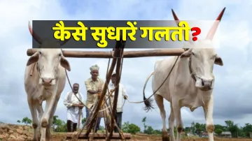 PM Kisan Yojana में गलत आधार या खाता जुड़ने से नहीं मिल रहे पैसे तो ऐसे करें ठीक- India TV Paisa