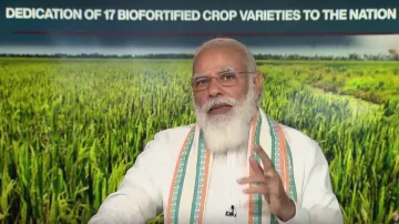 Kharif foodgrains production likely to be record 144.52 mn tonnes in 2020-21- India TV Paisa