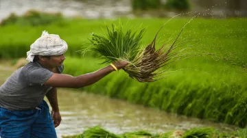 good news for Uttar Pradesh farmers five thousand storage godowns to be made in villages । यूपी के क- India TV Hindi