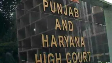 <p>Punjab and Haryana High Court</p>- India TV Hindi