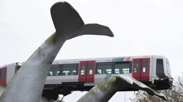 Rotterdam Train whale tail, Train whale tail, Train whale tail Netherlands, Netherlands Train whale- India TV Hindi