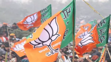 UP MLC Elections Results 2020 BJP Samajwadi Party- India TV Hindi