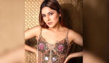 shehnaaz gill shares latest pic of her- India TV Hindi