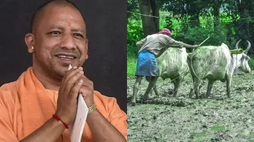 Yogi Government, Yogi Government Farmers, UP Free Vegetable Seeds, Yogi Free Vegetable Seeds- India TV Hindi