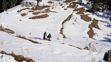 Heavy snowfall declared as state specific natural calamity under SDRF in Jammu and Kashmir- India TV Hindi