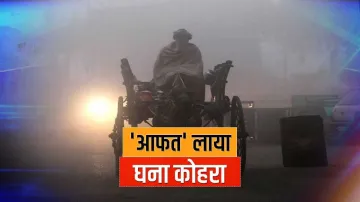 <p>IMD Weather </p>- India TV Hindi