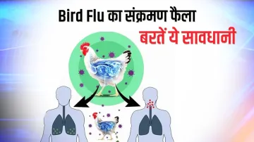 <p>Avian Influenza symptoms causes and precautions Bird Flu...- India TV Hindi