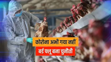<p>Bird Flu</p>- India TV Hindi