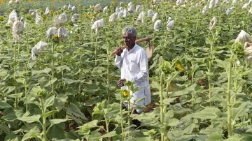 Tamil Nadu government announces farm loan waiver- India TV Paisa