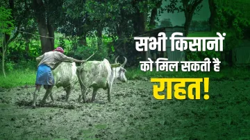 <p>Farmers</p>- India TV Paisa