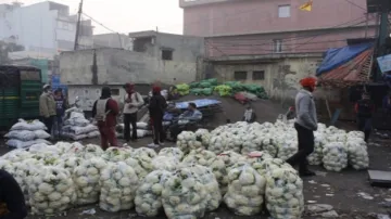 farmer throws cauliflower outside apmc mandi in pilibhit 1000 किलो गोभी लेकर मंडी पहुंचा था किसान, र- India TV Hindi