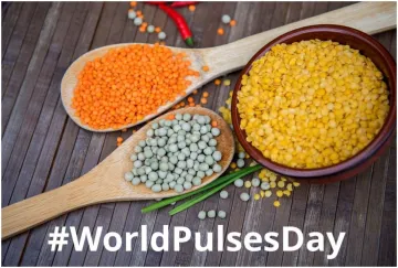 <p>World Pulses Day</p>- India TV Hindi