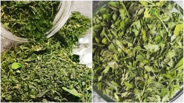 <p>KASURI METHI </p>- India TV Hindi