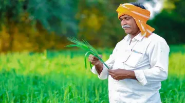 किसानों के लिए सरकार ने लिया एक और बड़ा फैसला, लाखों किसानों को होगा फायदा- India TV Paisa
