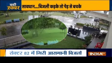 VIDEO: गुरुग्राम में बारिश के समय पेड़ के नीच खड़े थे लोग, अचानक गिरी बिजली और फिर...- India TV Hindi