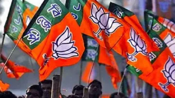 असम विधानसभा चुनाव 2021: BJP और सहयोगी दलों के बीच सीट शेयरिंग का फॉर्मूला तय- India TV Hindi