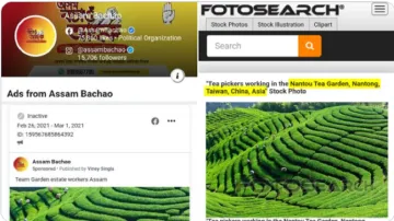 कांग्रेस के विज्ञापन में ताइवान के चाय बगानों की तस्वीर, हेमंत बिस्वा सरमा ने उठाया सवाल- India TV Hindi