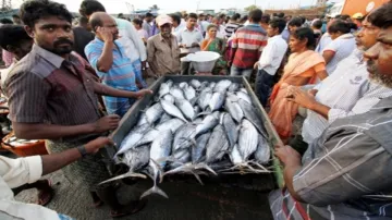 focus on blue revolution fish business in uttar pradesh उत्तर प्रदेश में अब नीली क्रांति को बढ़ावा, - India TV Hindi