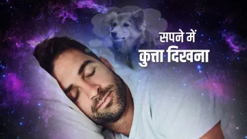 सपने में इस तरह से कुत्ता दिखना देता है कई संकेत- India TV Hindi