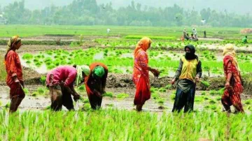 किसान आंदोलन और कोरोना के कहर से फसलों की कटाई, बुवाई बेअसर- India TV Paisa