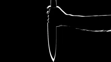 Man Stabbed to Death, Man Stabbed to Death Wedding, Gariaband Murder, Chhattisgarh Man Dead- India TV Hindi