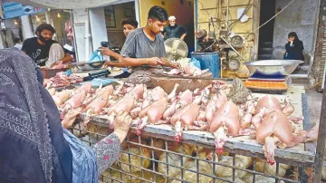 पाकिस्तान में चिकन के दाम 500 रुपए प्रति किलो तक पहुंचे - India TV Hindi