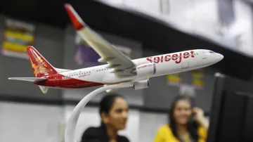 <p>Spicejet</p>- India TV Paisa