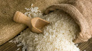 <p>Rice</p>- India TV Paisa