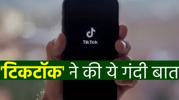 <p>Tiktok</p>- India TV Paisa